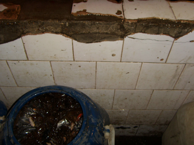 SDC16577.JPG