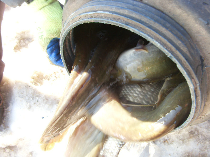SDC17527.JPG