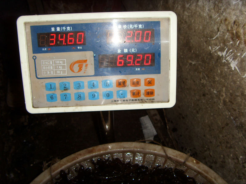 SDC17459.JPG