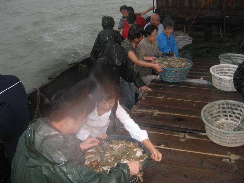 a 015.jpg