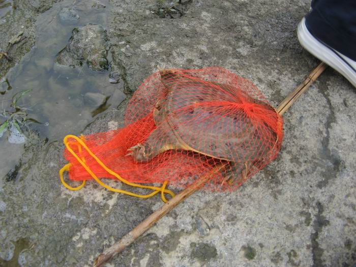 img2.jpg