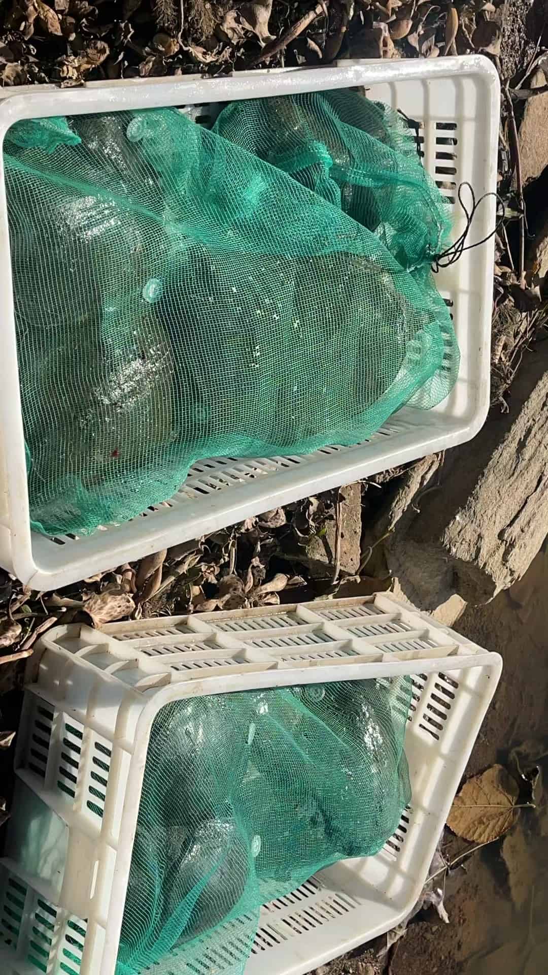 微信图片_20241230223313_压缩.jpg