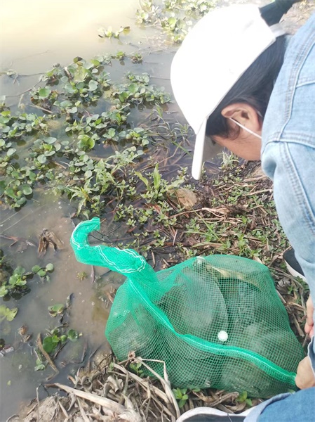 2_޸.jpg