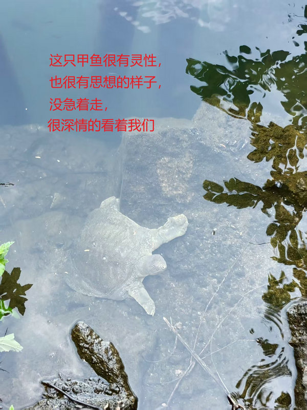 ΢ͼƬ_20250717100631.jpg
