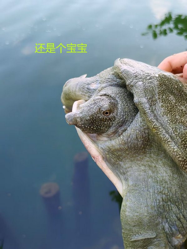 ΢ͼƬ_20250717100814.jpg